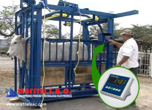 fabricacion balanza para ganados lima peru